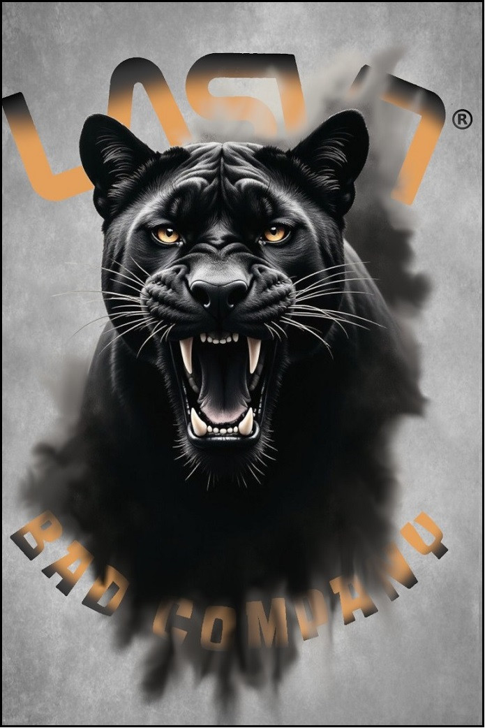 CAMISETA DE HOMBRE BAD PUMA ROSA LA SAL