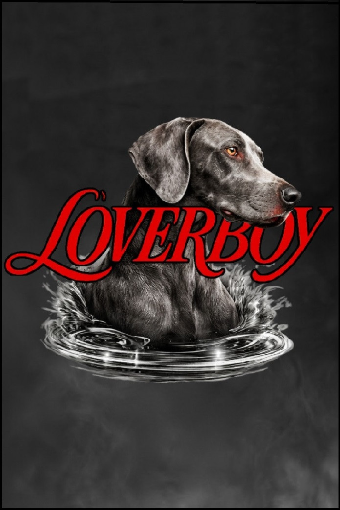 CAMISETA DE HOMBRE LOVERBOY GRIS OSCURO LA SAL