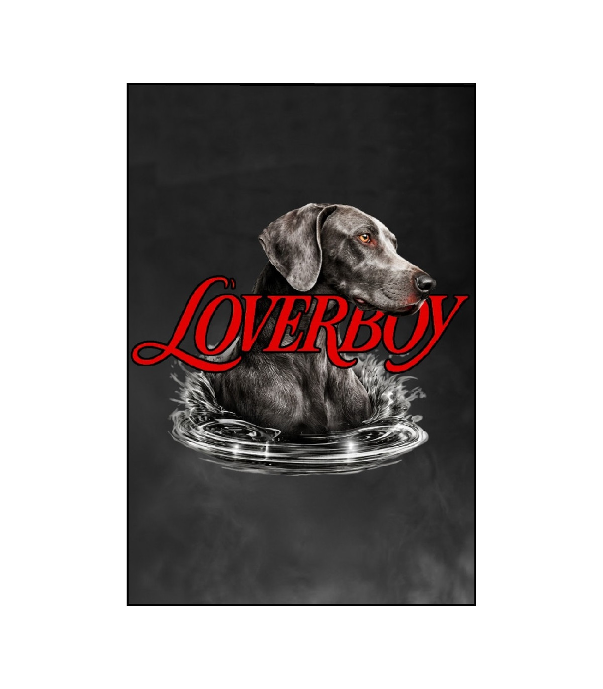 CAMISETA DE HOMBRE LOVERBOY GRIS OSCURO LA SAL